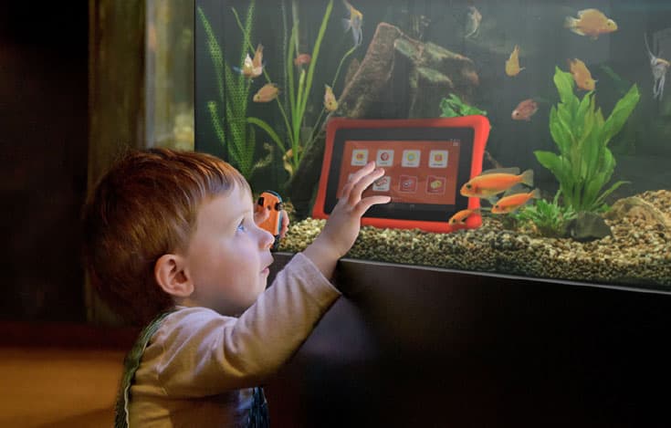 Месяц пользования планшетом Fuhu nabi 2S стоит $10