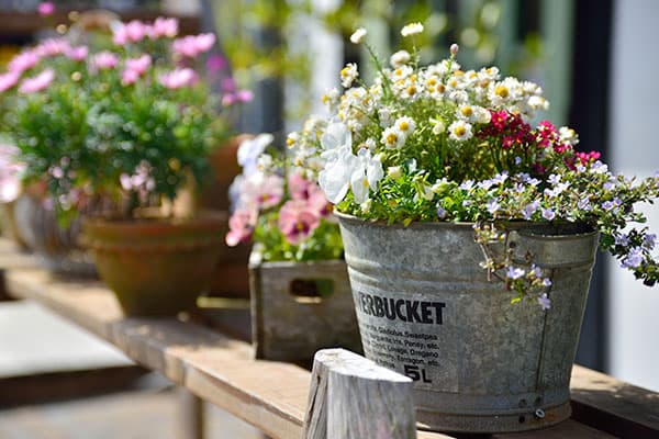 Tokina AT-X 24-70 F2.8 PRO FX