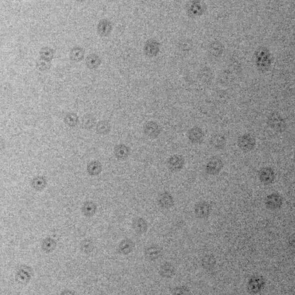 Датчики шести из примерно двадцати камер Canon EOS 760D и 750D, полученных LensRentals, были усеяны точками