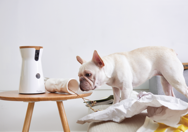 Камера Furbo предназначена для владельцев собак