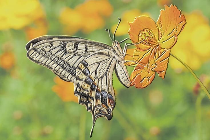 Принтер Casio 2.5D Printer способен создавать печатные изображения с объёмом