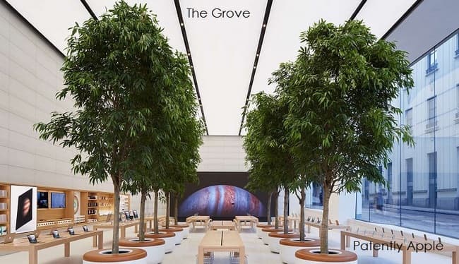 Apple патентует идею деревьев, используемых для украшения интерьера своих магазинов