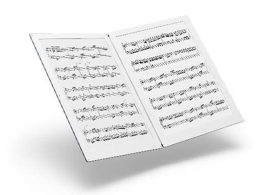 В Terada Gvido нашла применение технология Wacom feel