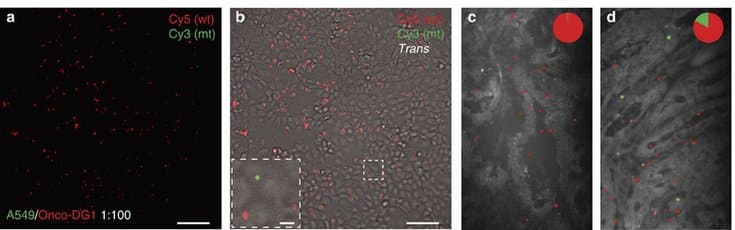 Nokia Lumia 1020 получила вторую жизнь в виде научного инструмента