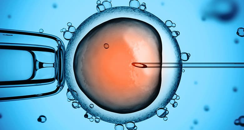 На два года раньше это сделали их китайские коллеги