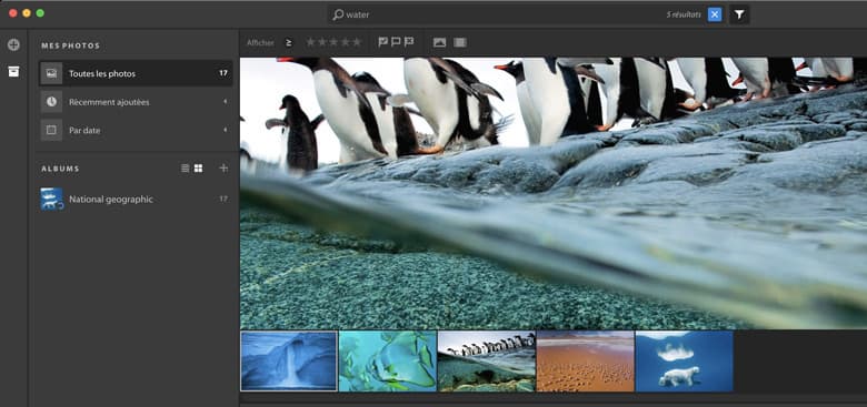 Утечка дала представление о редакторе фотографий Adobe Project Nimbus