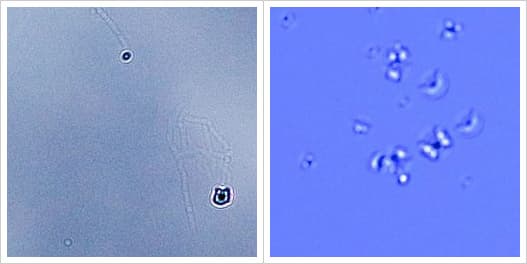 Начиная с 16 августа этого года, замена будет стоить 982 евро