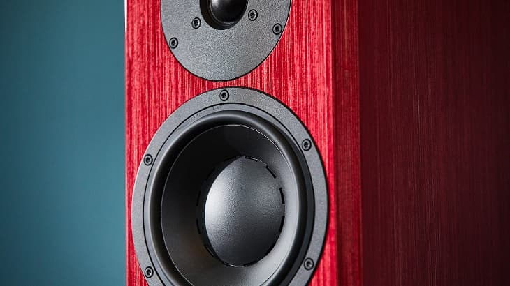АС Dynaudio Special Forty имеют доступную цену в сравнении с другими юбилейными моделями датчан