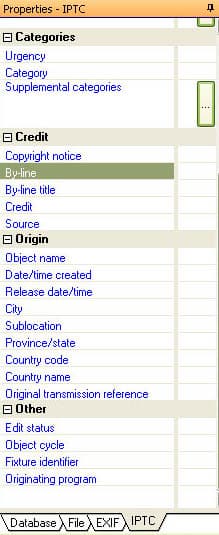 Информация об изображении представлена на правой панели