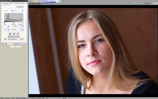 Управление уровнями в ACDSee Pro 2 Photo Manager