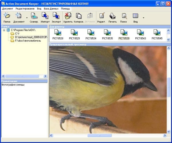 Просмотр изображения в Active Document Keeper