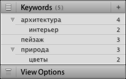 Ключевые слова