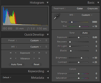 Некоторые инструменты Library (слева) и Develop (справа)
