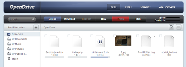 Веб-интерфейс Opendrive