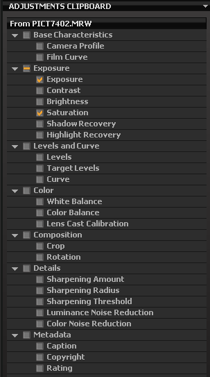 Выбор корректировок для копирования в буфер обмена Capture One 4