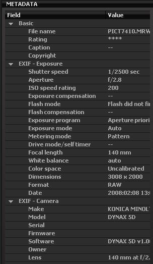 Просмотр метаданных снимка в Capture One 4