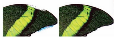 Инструмент Cutout Lab в Photo-Paint