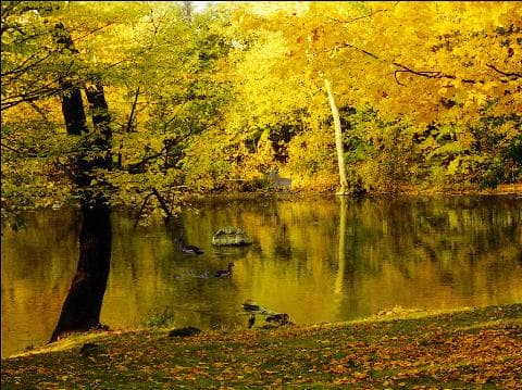 Унылая пора, очей очарованье