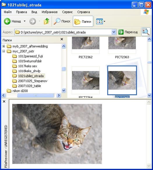 Просмотр изображений в Проводнике с помощью File Previewer
