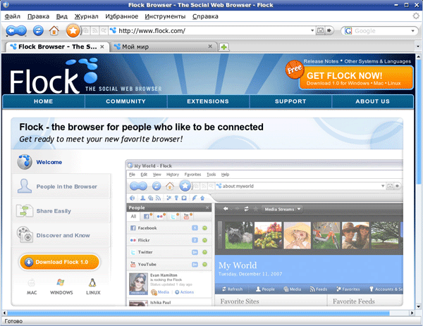 Рабочее окно Flock
