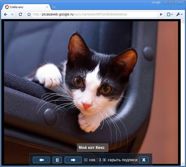 Слайд-шоу, собранное из фотографий Веб-альбома Picasa