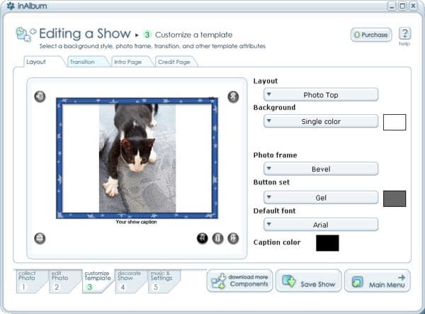 Редактирование шаблона в InAlbum