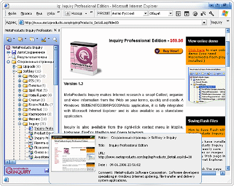 Интеграция Inquiry в MSIE