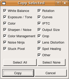 Выборочное копирование корректировок в Bibble Pro