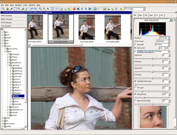 Рабочее окно Bibble Pro