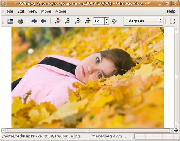 Просмотр изображения в GimageView