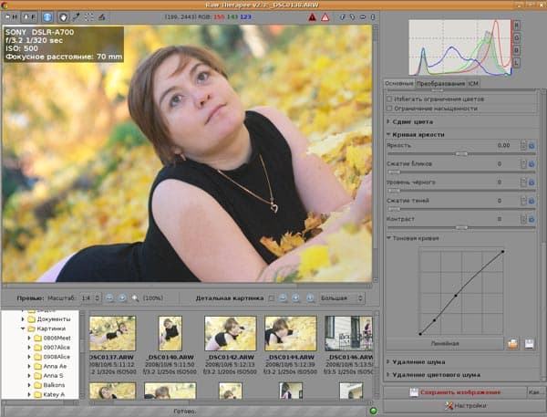 Управление экспозицией с помощью кривой в RAW Therapee