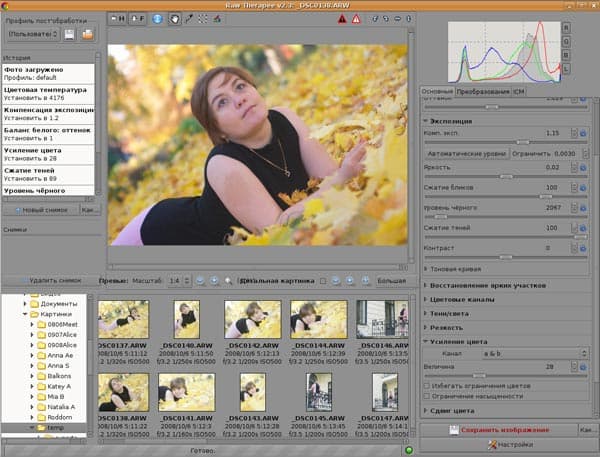 Рабочее окно RAW Therapee
