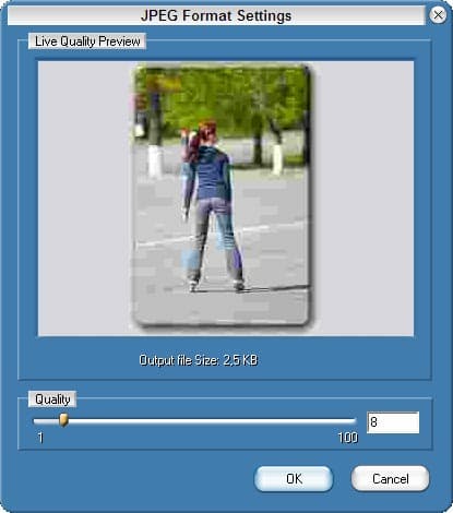Выбор качества JPEG в Media Resizer Pro: 8%