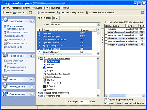 Главное окно программы Page Promoter
