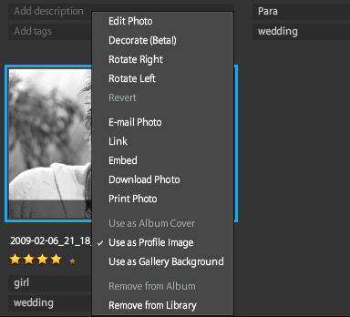 Контекстное меню фотографии в Photoshop.com