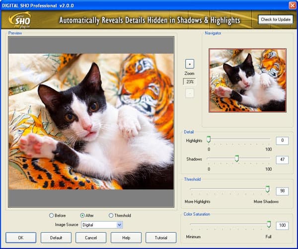 Извлечение дополнительных деталей на снимке с помощью Digital SHO Professional