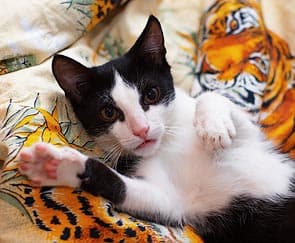 Исходное изображение