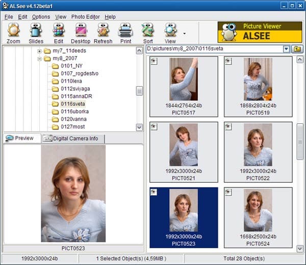 Рабочее окно ALSee