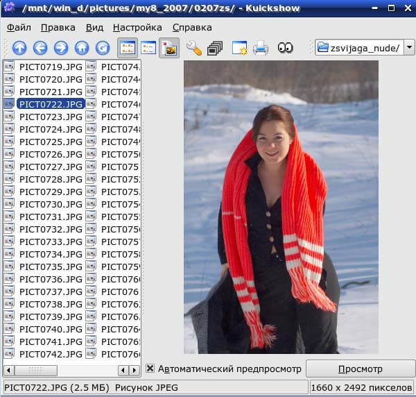 Рабочее окно KuickShow