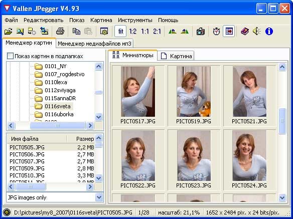 Рабочее окно Vallen Jpegger