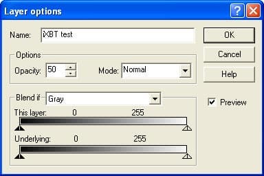 Свойства слоя в PictureMan