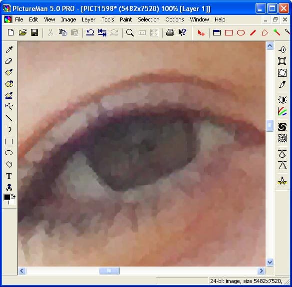 Десятикратное увеличение линейных размеров изображения в PictureMan