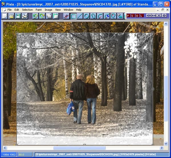 Применение монохромного эффекта с использованием Tone Filter в Pixia