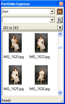 Рабочее окно утилиты Portfolio Express
