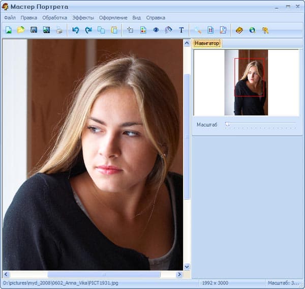 Главное окно Мастера Портрета