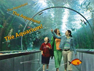 Накладываем текст, накладываем графику