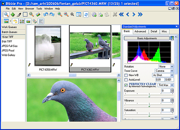 Рабочее окно Bibble Pro