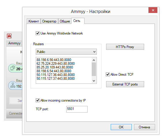 Настройки подключения Ammyy