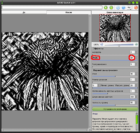 Различить, что на этой картинке изображен жук на цветке, нереально. Все потому, что параметр Уголь равен 10