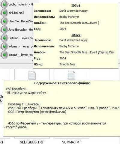 Подсказки Sky Commander. Вверху - ID3-теги; внизу - фрагмент текста